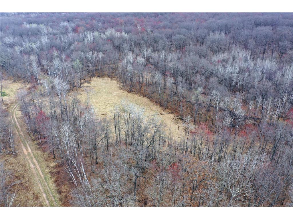 TBD Barrett Trail Trego WI 54888 7062573 image4