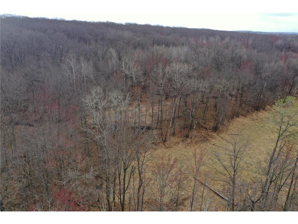 TBD Barrett Trail Trego WI 54888 7062573 image6