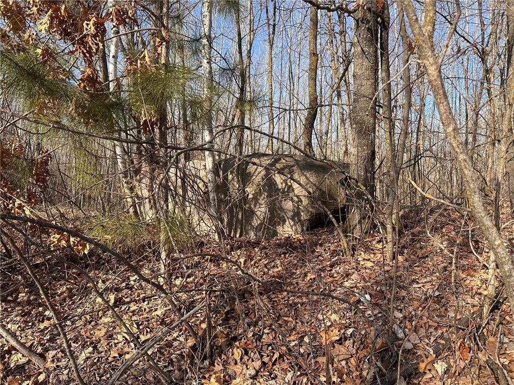 TBD Bass Lake Road Osage MN 56570 6703137 image11