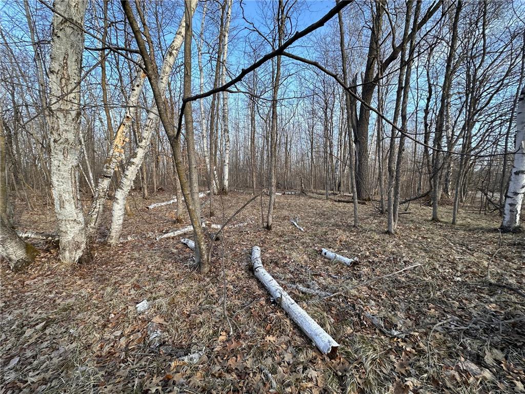 TBD Bass Lake Road Osage MN 56570 6703137 image13
