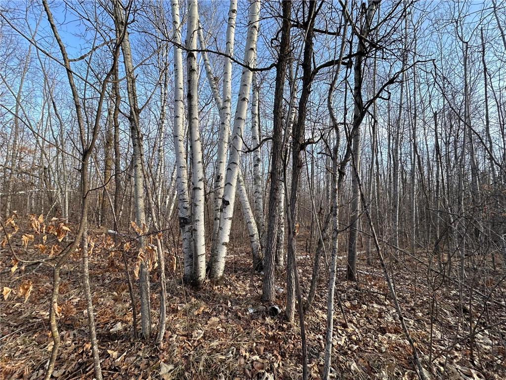 TBD Bass Lake Road Osage MN 56570 6703137 image14