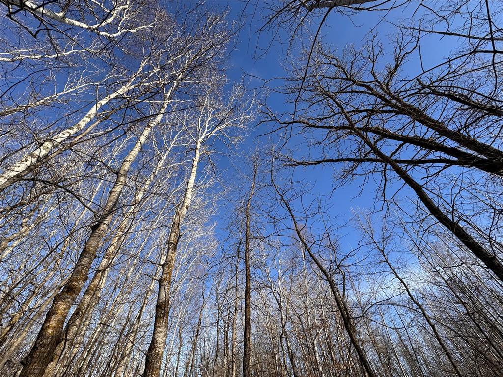 TBD Bass Lake Road Osage MN 56570 6703137 image15