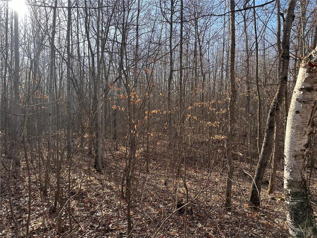 TBD Bass Lake Road Osage MN 56570 6703137 image16