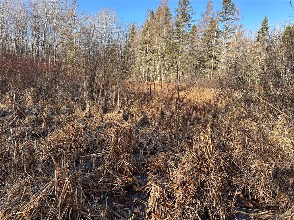 TBD Bass Lake Road Osage MN 56570 6703137 image18