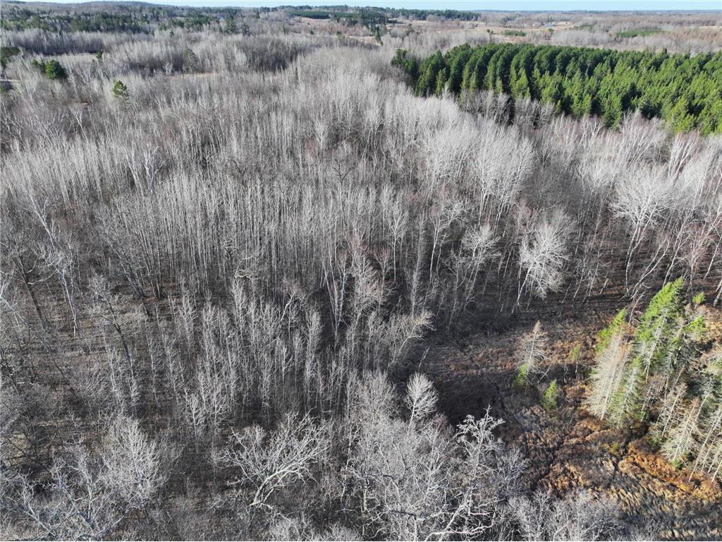TBD Bass Lake Road Osage MN 56570 6703137 image2