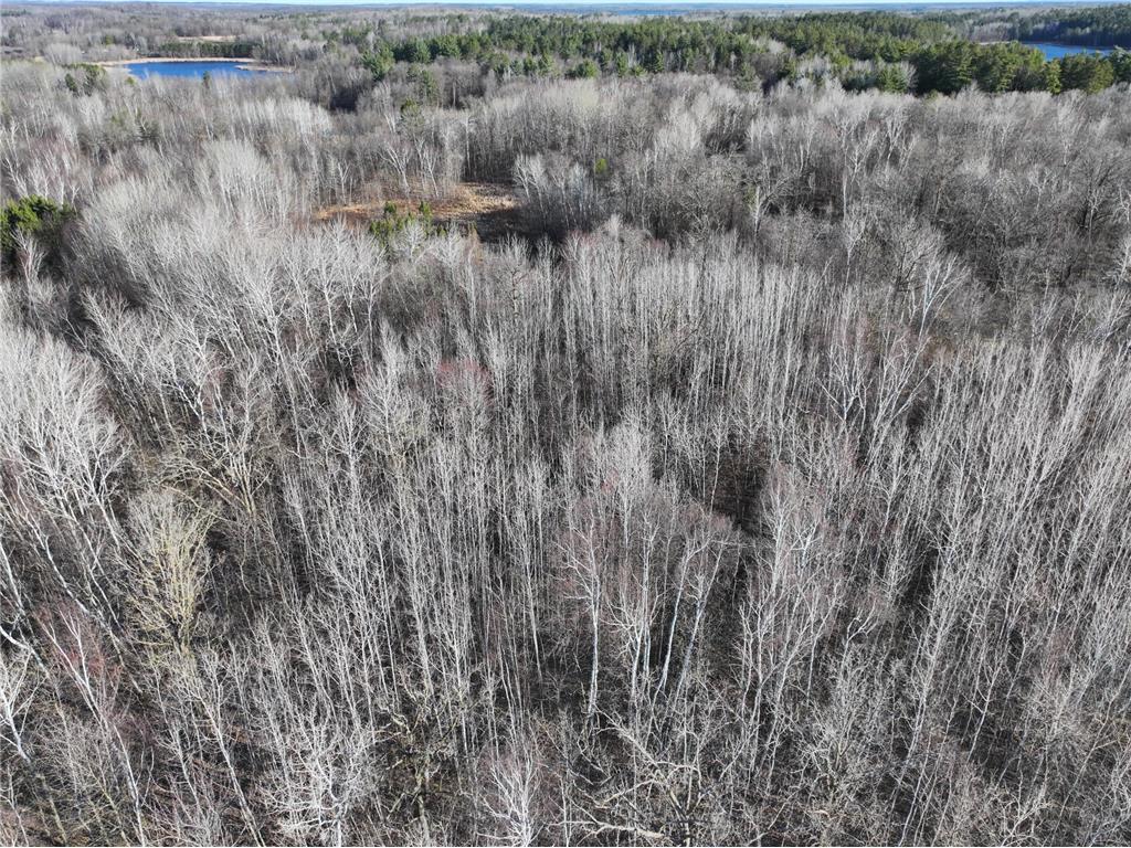 TBD Bass Lake Road Osage MN 56570 6703137 image6