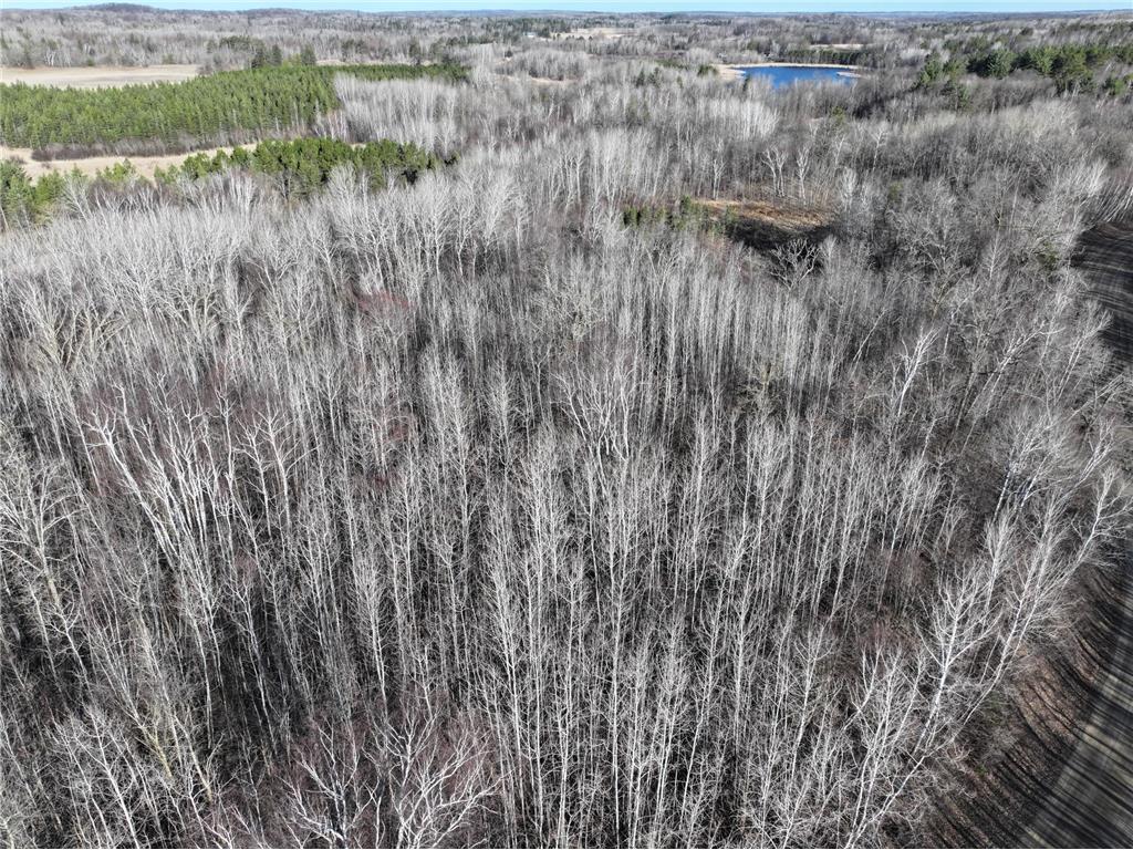 TBD Bass Lake Road Osage MN 56570 6703137 image8