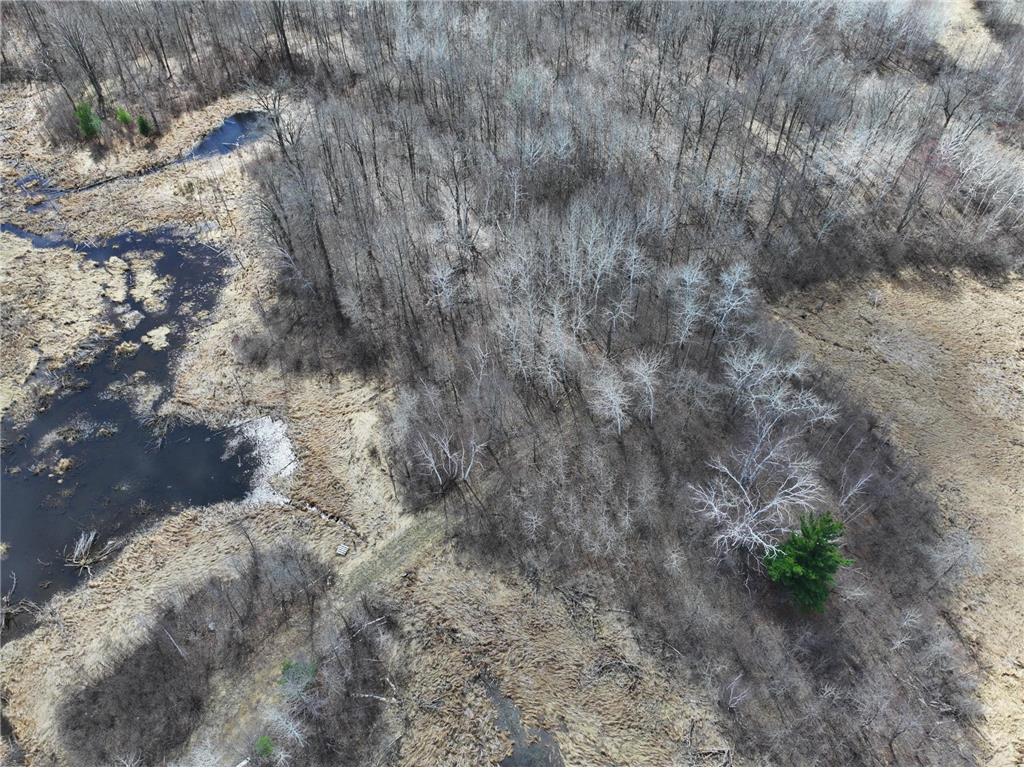 TBD Bass Lake Road Osage MN 56570 7064033 image11