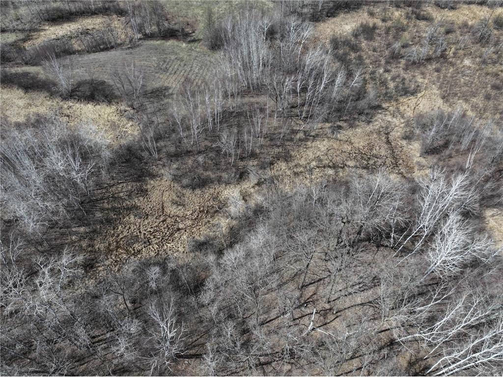 TBD Bass Lake Road Osage MN 56570 7064033 image13