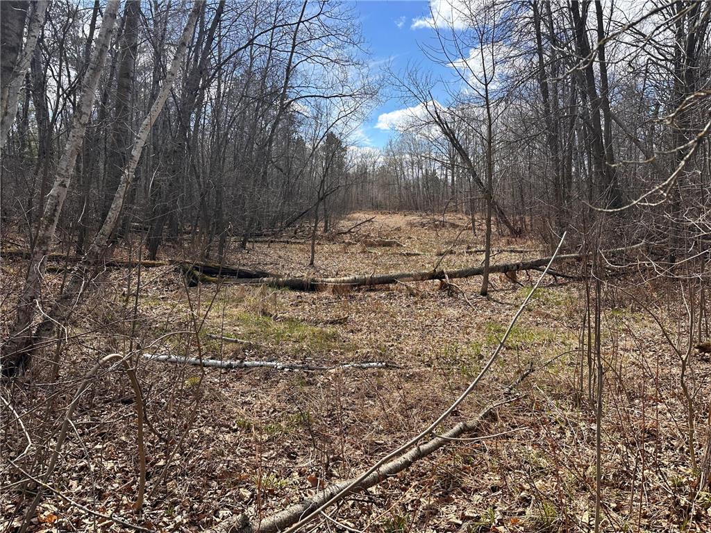 TBD Bass Lake Road Osage MN 56570 7064033 image16