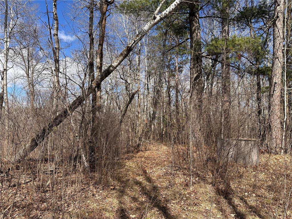 TBD Bass Lake Road Osage MN 56570 7064033 image19