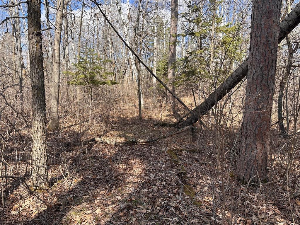 TBD Bass Lake Road Osage MN 56570 7064033 image20