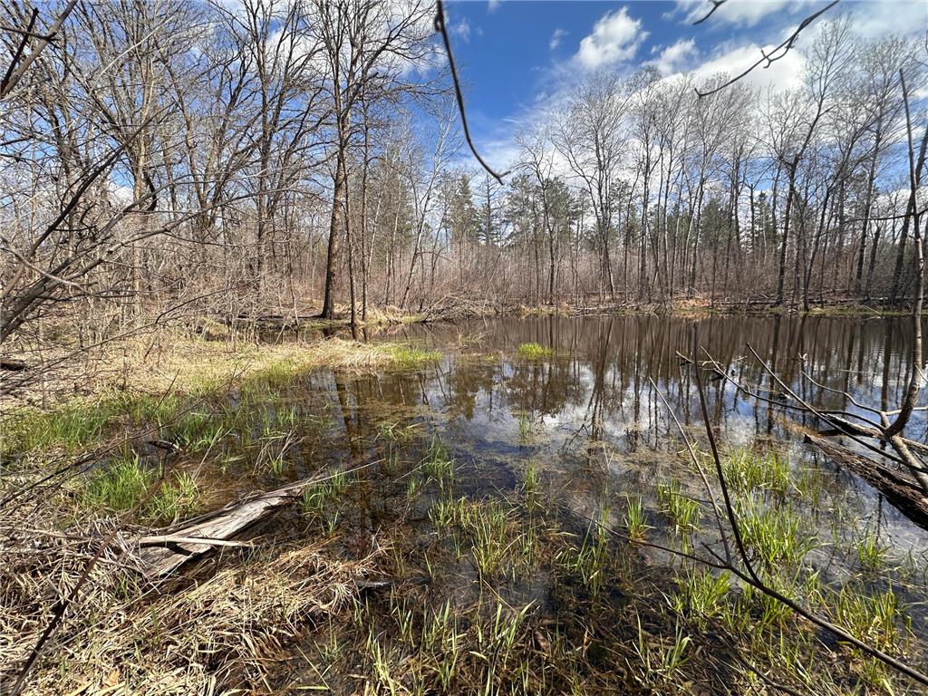 TBD Bass Lake Road Osage MN 56570 7064033 image21