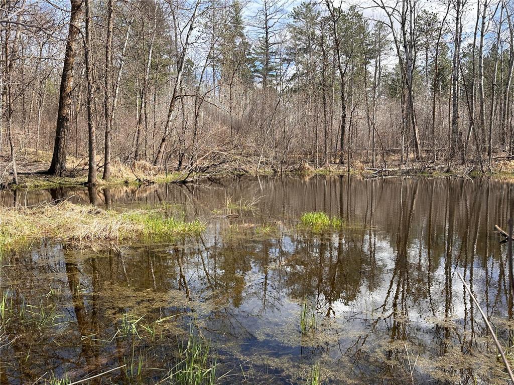 TBD Bass Lake Road Osage MN 56570 7064033 image22