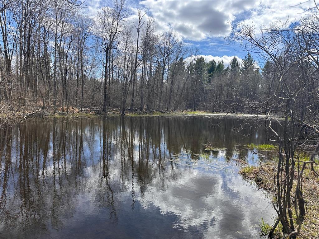 TBD Bass Lake Road Osage MN 56570 7064033 image24