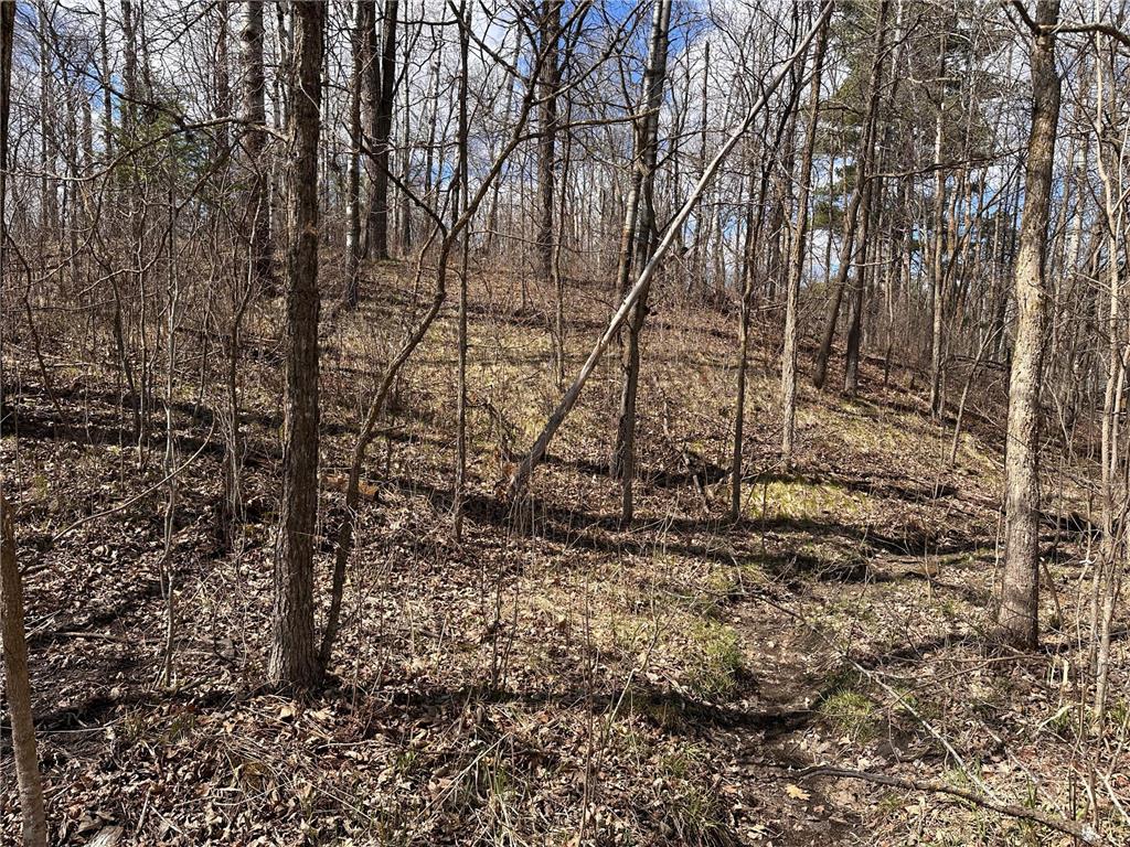 TBD Bass Lake Road Osage MN 56570 7064033 image25