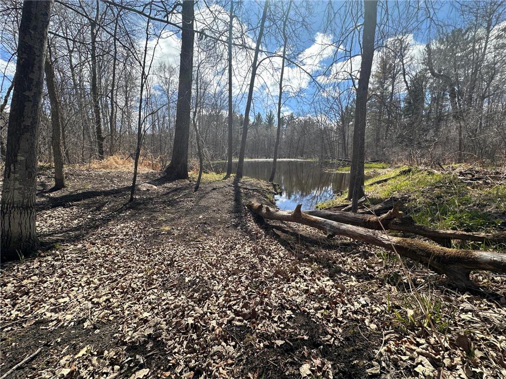 TBD Bass Lake Road Osage MN 56570 7064033 image26