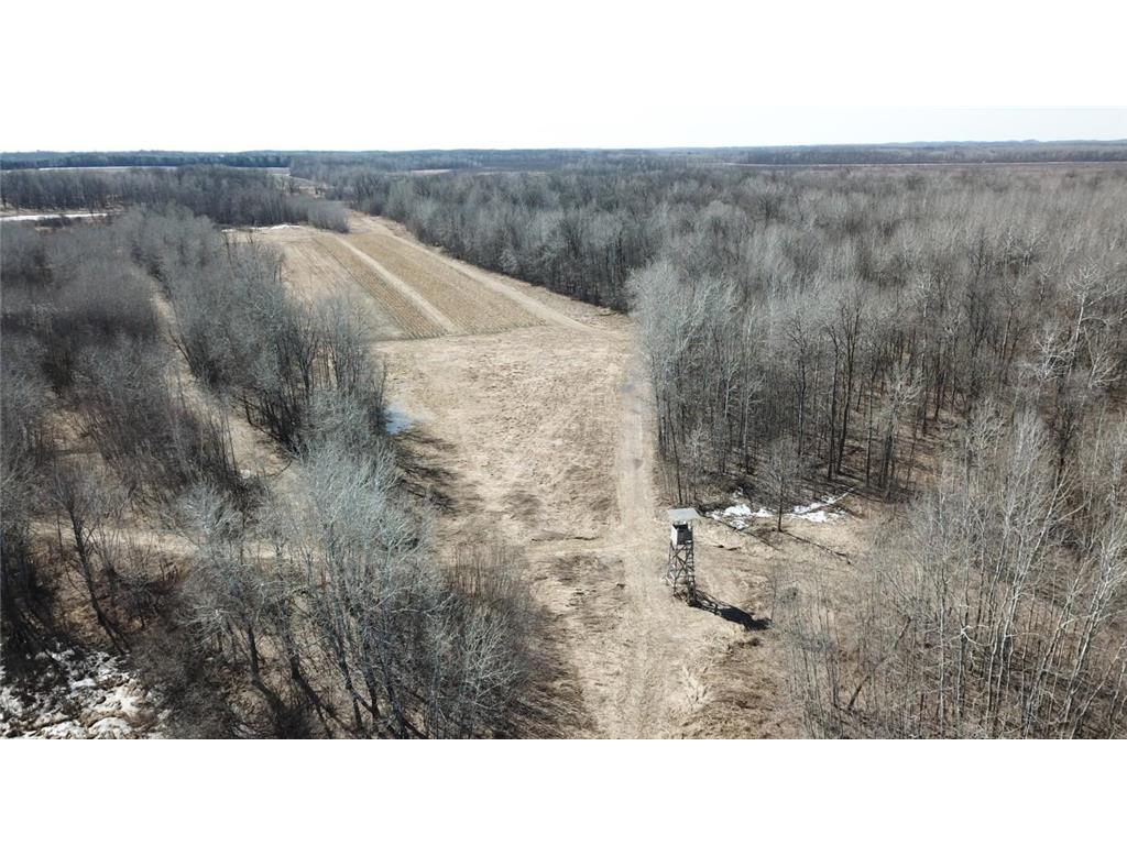 TBD Basswood Drive Cushing MN 56443 7056809 image10