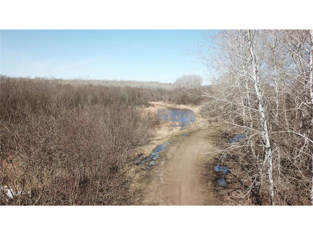 TBD Basswood Drive Cushing MN 56443 7056809 image3