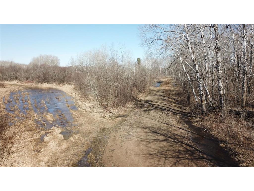 TBD Basswood Drive Cushing MN 56443 7056809 image4