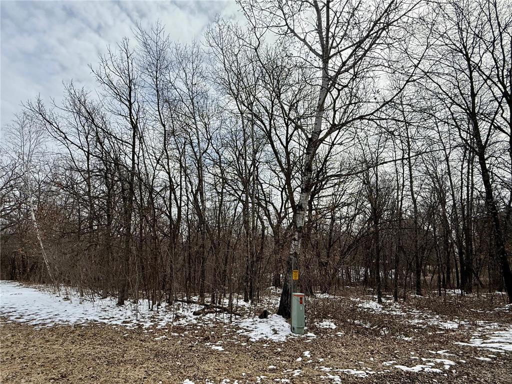 TBD Basswood Drive Kandota Twp MN 56378 - Sauk River 7050949 image3