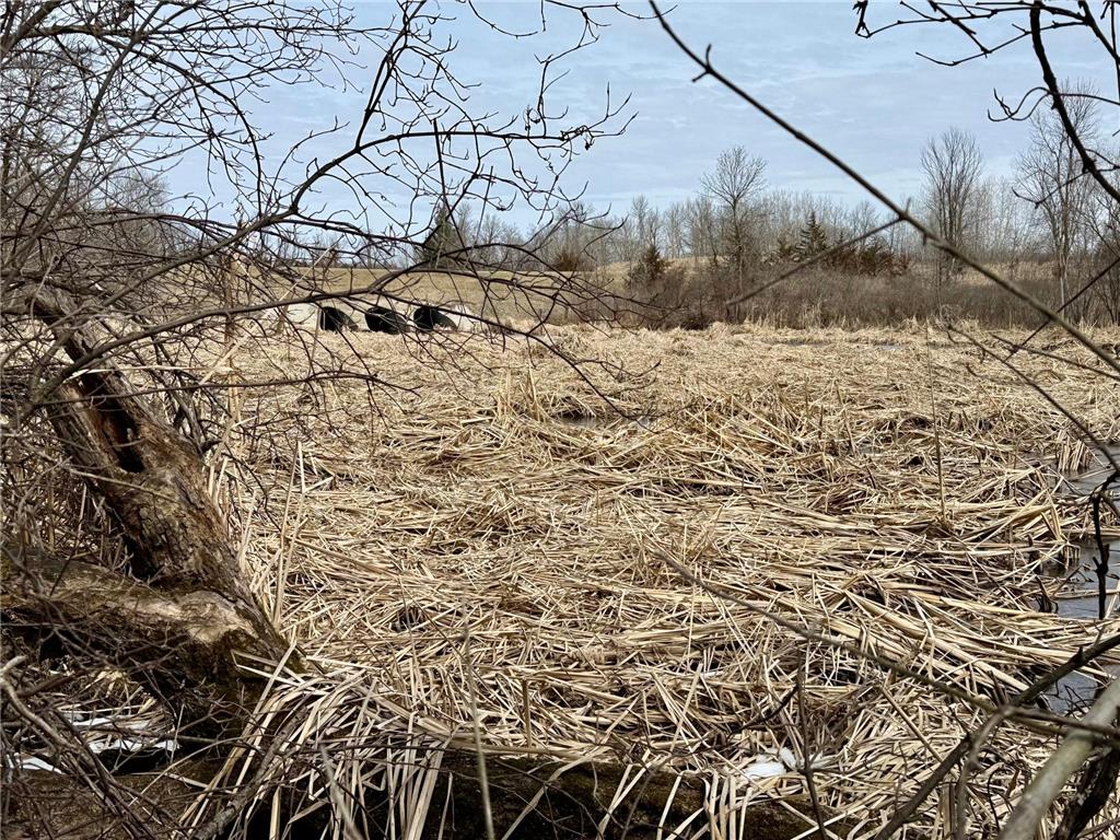 TBD Basswood Drive Kandota Twp MN 56378 - Sauk River 7050949 image9