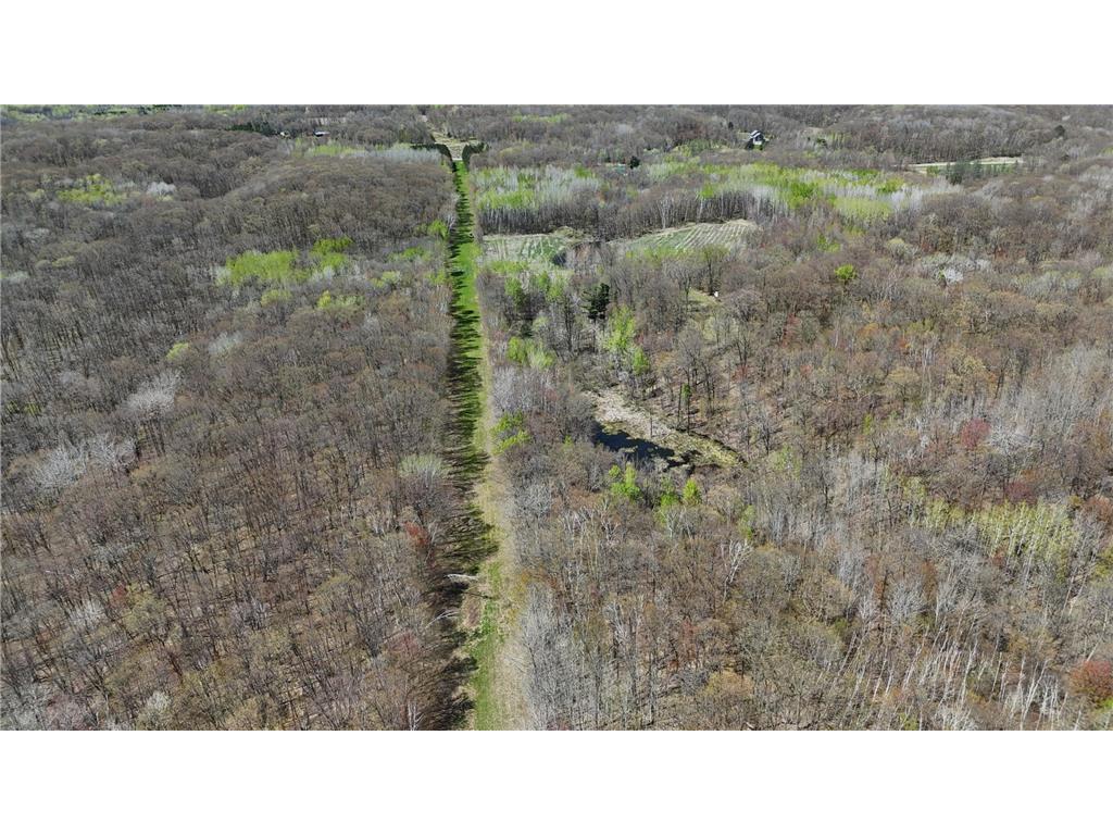 TBD Bear Road Cushing MN 56443 7073886 image17