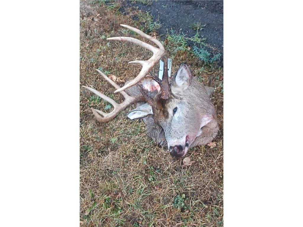 TBD Bear Road Cushing MN 56443 7073886 image18