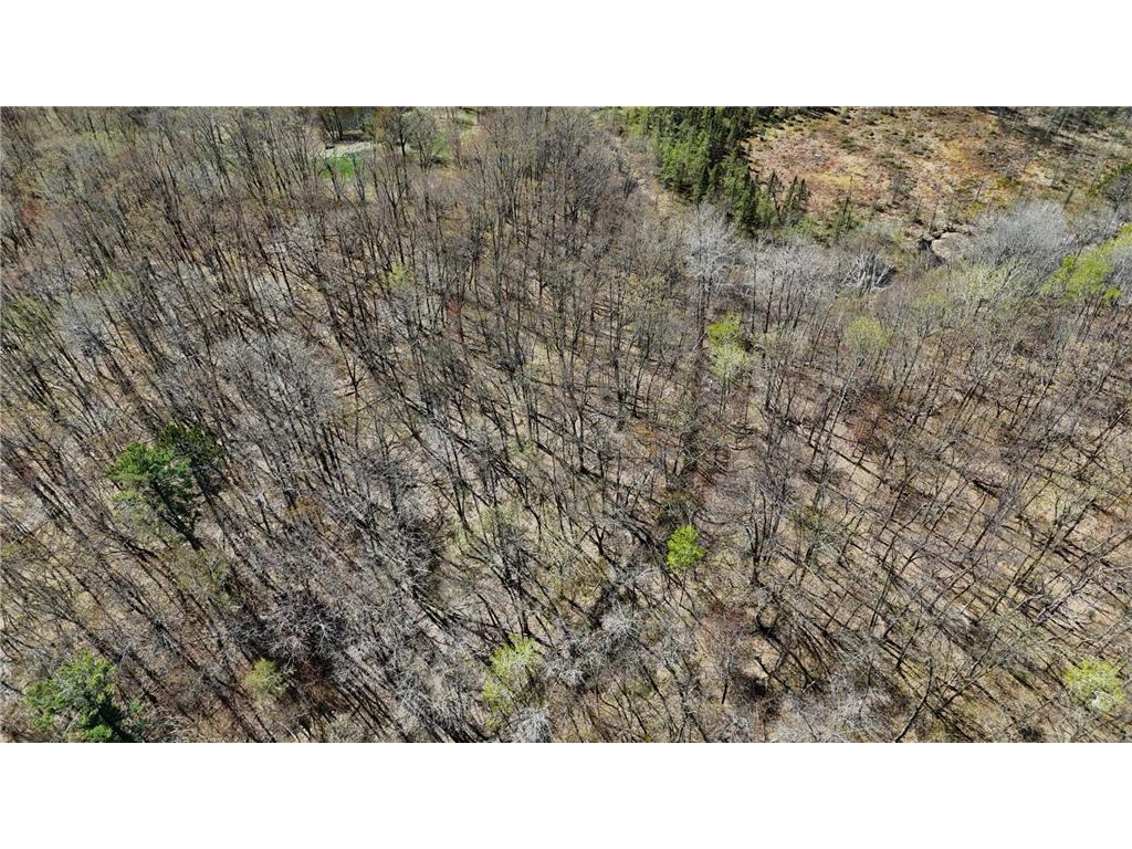 TBD Bear Road Cushing MN 56443 7073886 image25
