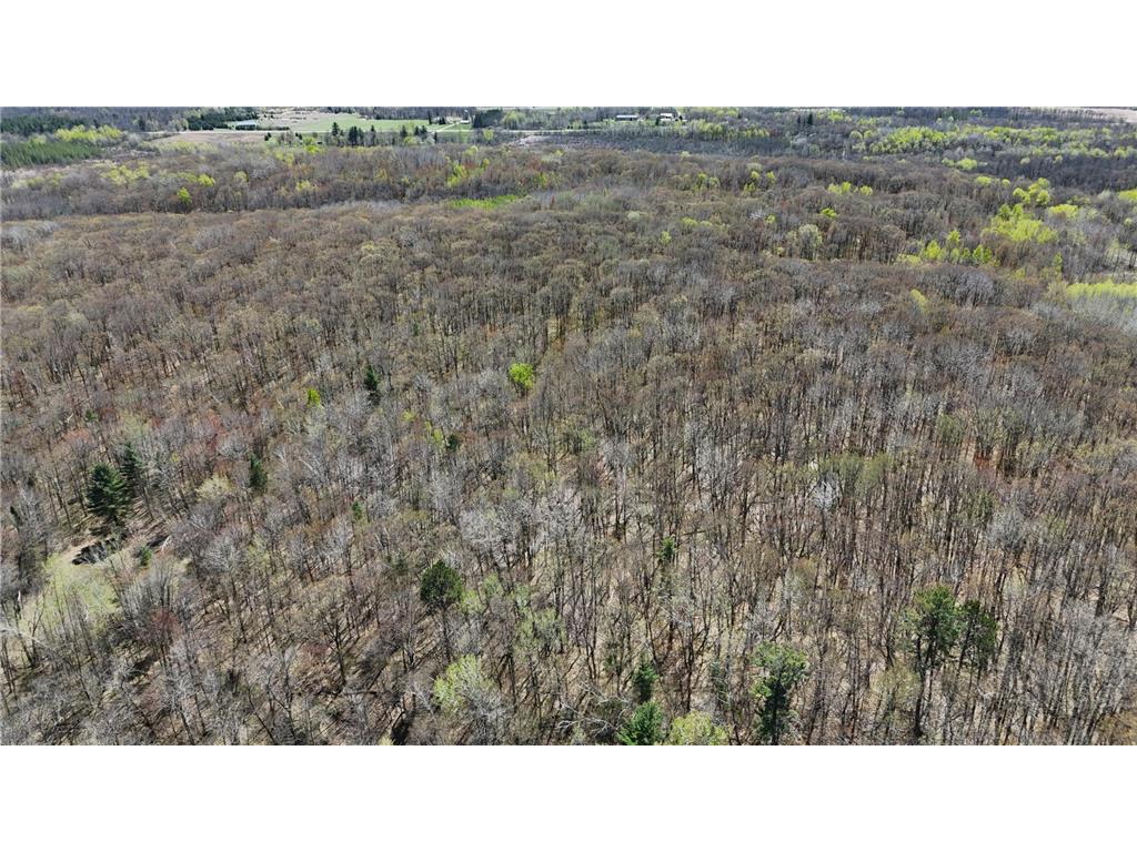 TBD Bear Road Cushing MN 56443 7073886 image28