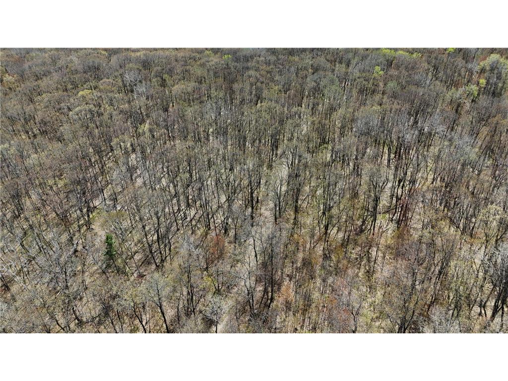 TBD Bear Road Cushing MN 56443 7073886 image31