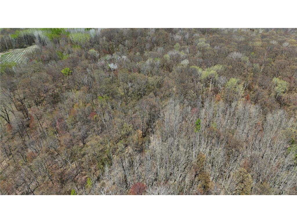 TBD Bear Road Cushing MN 56443 7073886 image36