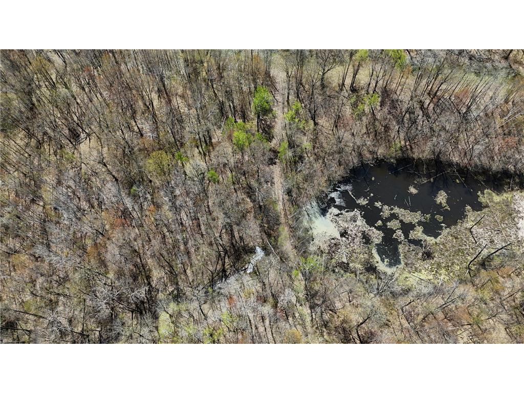TBD Bear Road Cushing MN 56443 7073886 image38