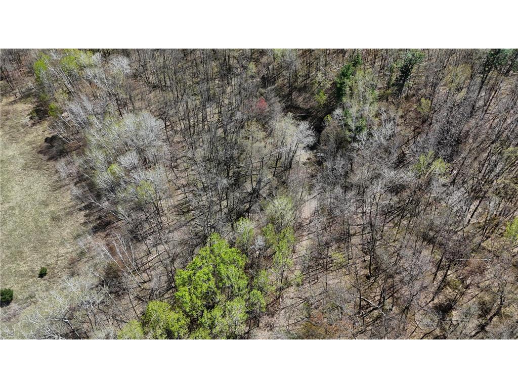 TBD Bear Road Cushing MN 56443 7073886 image8