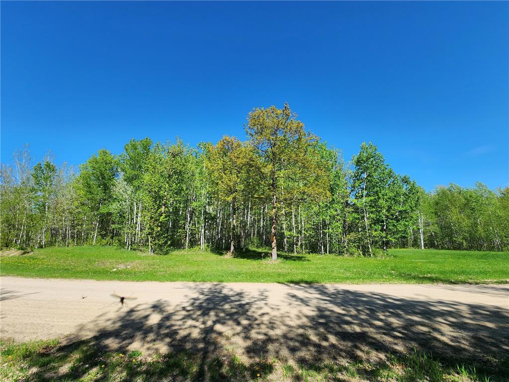 TBD Bear Tract Lane NE Longville MN 56655 6697015 image1