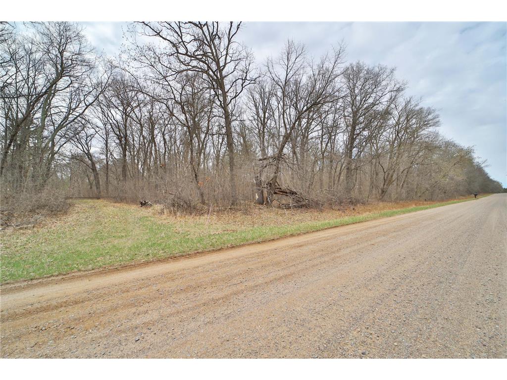TBD Bedow Road Fort Ripley MN 56449 7060063 image1