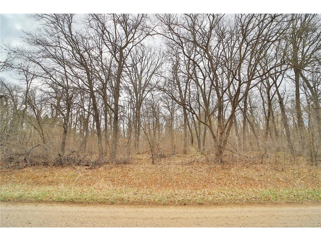 TBD Bedow Road Fort Ripley MN 56449 7060063 image3