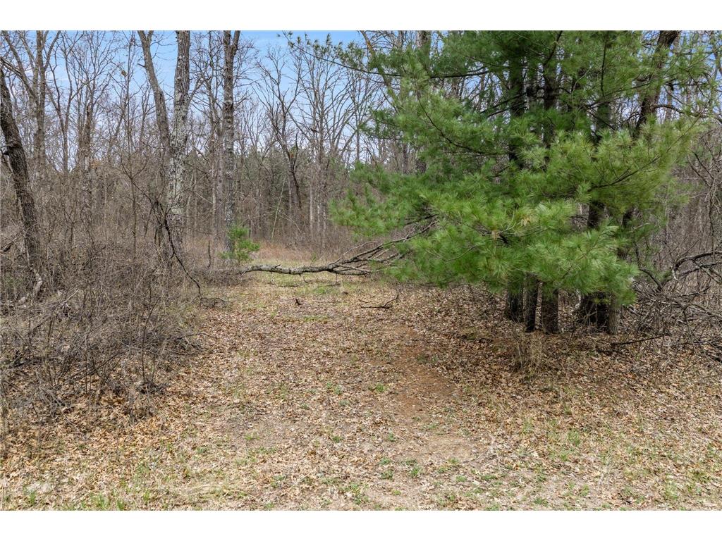 TBD. Bedow Road Fort Ripley MN 56449 7062362 image10