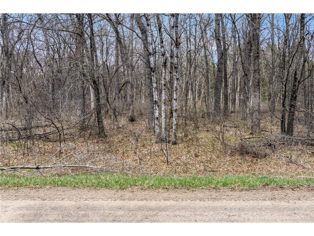 TBD. Bedow Road Fort Ripley MN 56449 7062362 image11