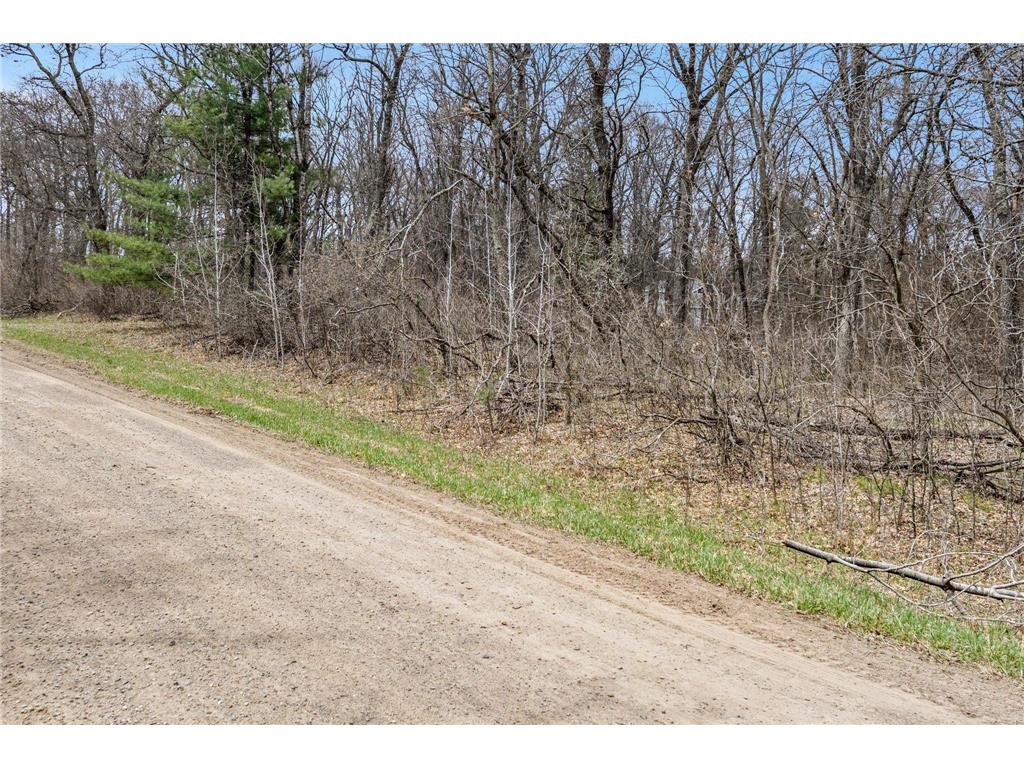 TBD. Bedow Road Fort Ripley MN 56449 7062362 image12