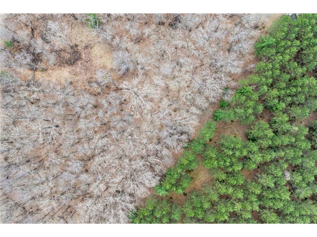 TBD. Bedow Road Fort Ripley MN 56449 7062362 image13