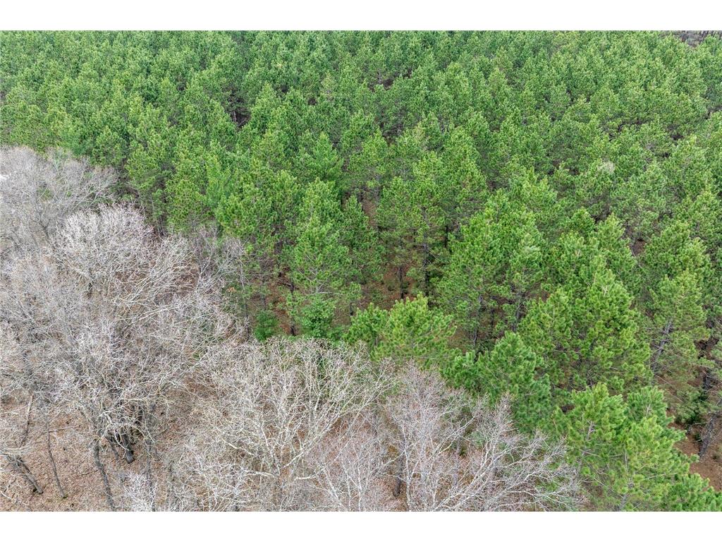 TBD. Bedow Road Fort Ripley MN 56449 7062362 image6