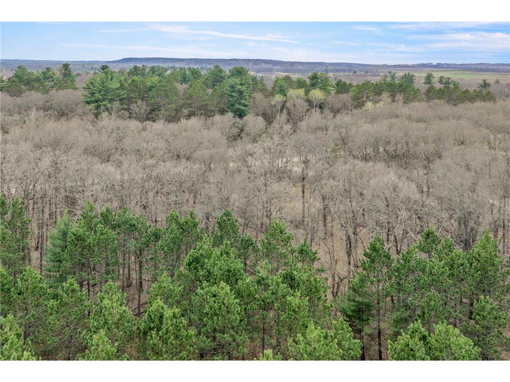 TBD. Bedow Road Fort Ripley MN 56449 7062362 image7