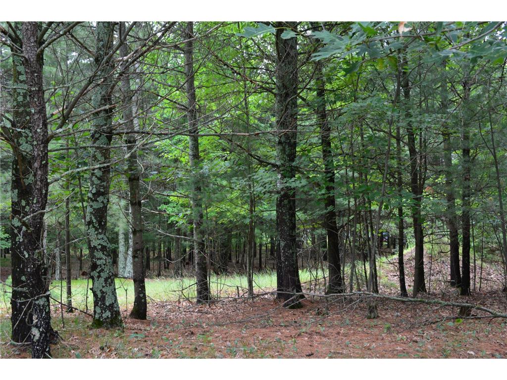 TBD Benson Road Grantsburg WI 54840 7105917 image2