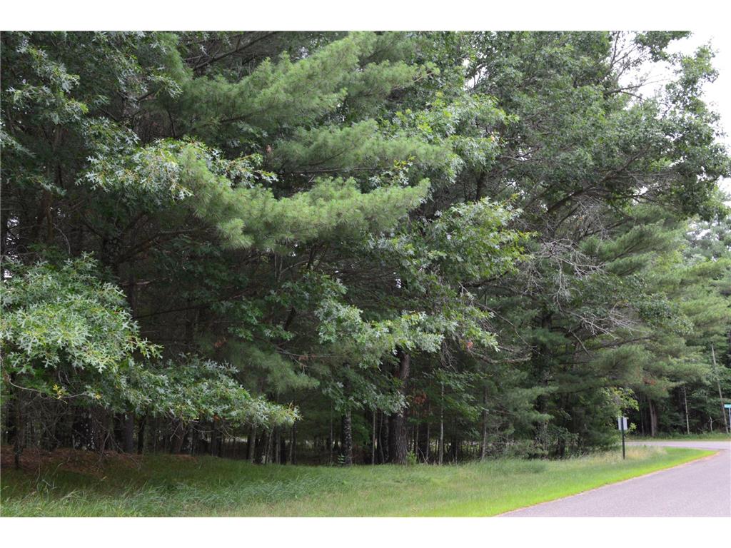 TBD Benson Road Grantsburg WI 54840 7105917 image3