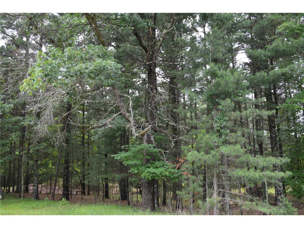 TBD Benson Road Grantsburg WI 54840 7105917 image4