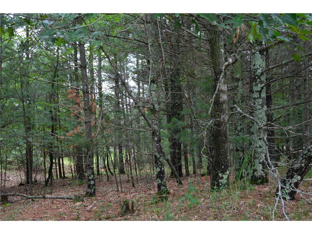 TBD Benson Road Grantsburg WI 54840 7105917 image6