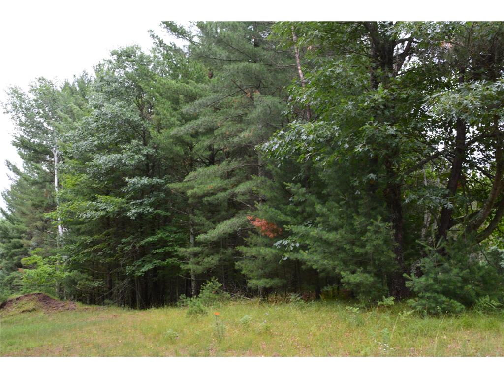 TBD Benson Road Grantsburg WI 54840 7105917 image7