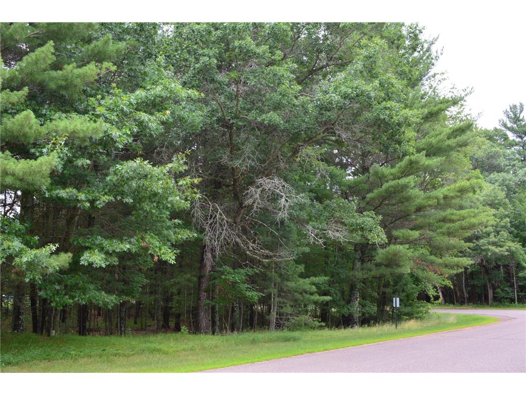 TBD Benson Road Grantsburg WI 54840 7105917 image8