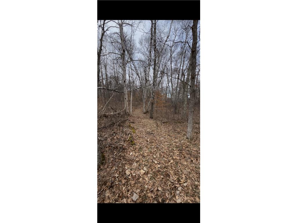 TBD Big Pine Trail Crosslake MN 56442 7044961 image1
